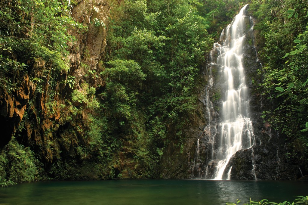 Jungle river